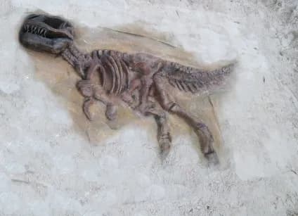 Szczątki dinozaurów: Co mówią o wymarłych gadach? Nowe odkrycia