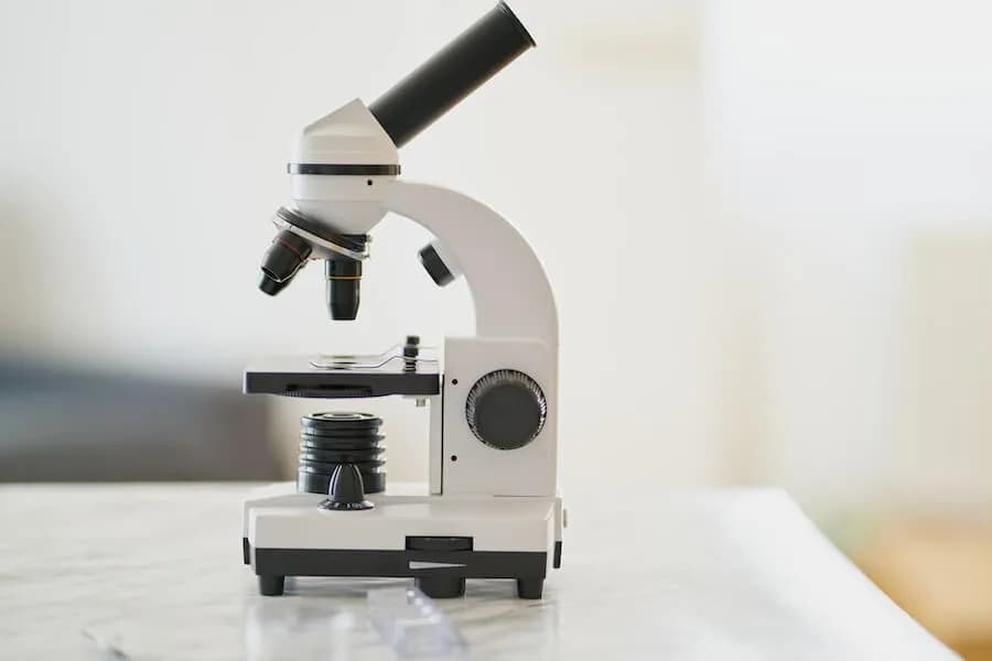 Kto wynalazł mikroskop? Zaskakujące fakty o jego twórcach